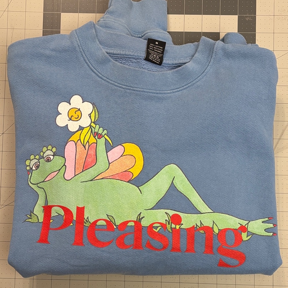 Pleasing Blue Frog Graphic Sweatshirt